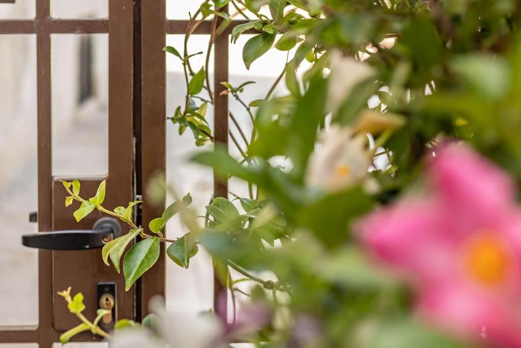 Cconforthotels Appartamento Domus Venezia Bari Bagian luar foto